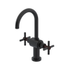 Rubinet Single Hole Dual Handle Lav. Set with LaSalle Spout (less drain) Matt Black
