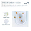 Alps 2-Piece Toilet Elongated Dual-Flush Wall Mounted Toilet With Geberit In-Wall Tank (Seat Included) - Victoria - Golzar Home