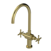 Rubinet Two Handle Single Hole Kitchen Set with LaSalle Spout Natural Brass