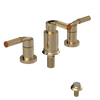 Rubinet Bidet Fitting with Spray, Diverter, and Vacum Breaker (Less Drain) Gold