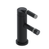 Rubinet Single Control Bidet Fitting (less drain) Matt Black