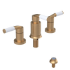 Rubinet Bidet Fitting with Spray, Diverter, and Vacum Breaker (Less Drain) Satin Gold