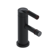 Rubinet Single Control Bidet Fitting (less drain) Matt Black