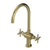 Rubinet Two Handle Single Hole Kitchen Set with LaSalle Spout Natural Brass
