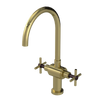 Rubinet Two Handle Single Hole Kitchen Set with LaSalle Spout Natural Brass