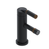 Rubinet Single Control Bidet Fitting (less drain) Matt Black