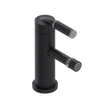 Rubinet Single Control Bidet Fitting (less drain) Matt Black