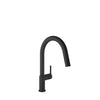 Baril Single-hole kitchen faucet with 2-function pull-down spray