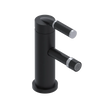 Rubinet Single Control Bidet Fitting (less drain) Matt Black