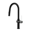 Aquaflo Glanz Pull Down Kitchen Faucet - KFG16