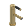 Rubinet Single Control Bidet Fitting (less drain) Satin Gold
