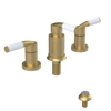 Rubinet Bidet Fitting with Spray, Diverter, and Vacum Breaker (Less Drain) Satin Brass