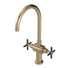 Rubinet Two Handle Single Hole Kitchen Set with LaSalle Spout Gold