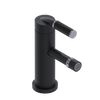Rubinet Single Control Bidet Fitting (less drain) Matt Black