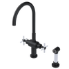Rubinet Two Handle Single Hole Kitchen Set with LaSalle Spout with Hand Spray Matt Black
