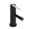 Rubinet Single Control Bidet Fitting (less drain) Black