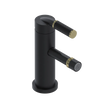 Rubinet Single Control Bidet Fitting (less drain) Matt Black