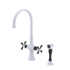 Rubinet Two Handle Single Hole Kitchen Set with Hand Spray Matt White