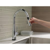 Delta Essa Single Handle Pull-Down Kitchen Faucet With Touch2o Technology - Golzar Home