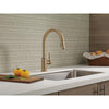 Delta Trinsic Single Handle Pull-Down Kitchen Faucet - Golzar Home