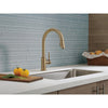 Delta Trinsic Single Handle Pull-Down Kitchen Faucet - Golzar Home