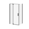 Kalia DISTINK 42” x 77” pivot shower door with 32” return panel - KP protective film – DR1744/DR1748-160-005