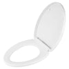 DXV Contemporary Elongated Closed Front Toilet Seat – Canvas White