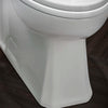 DXV Belshire® One-Piece Chair Height Elongated Toilet with Seat – Canvas White