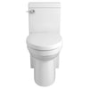 DXV Cossu® One-Piece Chair Height Elongated Toilet with Seat – Canvas White