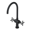 Rubinet Two Handle Single Hole Kitchen Set with LaSalle Spout Matt Black