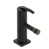 Rubinet Single Control Bidet Fitting (less drain) Matt Black