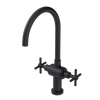 Rubinet Two Handle Single Hole Kitchen Set with LaSalle Spout Matt Black