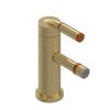 Rubinet Single Control Bidet Fitting (less drain) Satin Gold