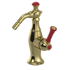 Rubinet Single Control Bidet Fitting (less drain) Natural Brass