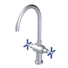 Rubinet Two Handle Single Hole Kitchen Set with LaSalle Spout Satin Chrome