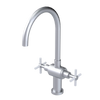 Rubinet Two Handle Single Hole Kitchen Set with LaSalle Spout Satin Chrome