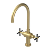 Rubinet Two Handle Single Hole Kitchen Set with LaSalle Spout Satin Brass