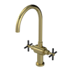 Rubinet Two Handle Single Hole Kitchen Set with LaSalle Spout Natural Brass