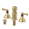 Rubinet Bidet Fitting with Spray, Diverter, and Vacum Breaker (Less Drain) Satin Brass
