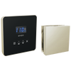 Brizo Square Steam Set