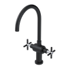 Rubinet Two Handle Single Hole Kitchen Set with LaSalle Spout Matt Black