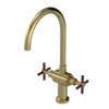 Rubinet Two Handle Single Hole Kitchen Set with LaSalle Spout Natural Brass