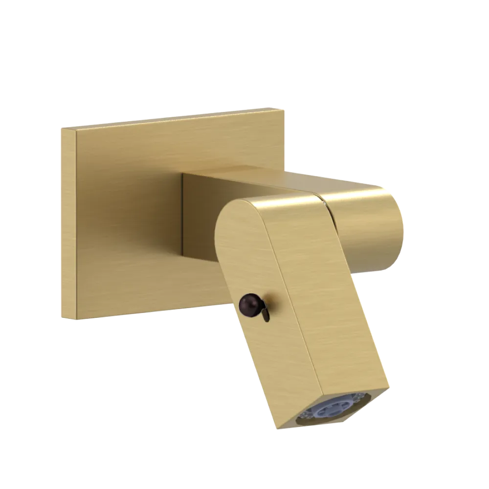 Rubinet Wall Mount Bidet & Foot Rinse with Dual Function Spray Satin Brass