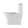 Neptune Florence 4.1/6L Dual Flush Elongated One-Piece Toilet in White