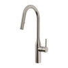 Kalia KAVIAR Single handle pull-down kitchen faucet