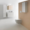 Laufen Pro Wall Hung Toilet Set With Geberit Carrier - Golzar Home