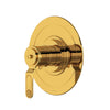 Perrin & Rowe Armstrong™ 3/4" Thermostatic Trim Without Volume Control