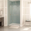Reveal 71 44-47 x 71 ½ in. 8mm Pivot Shower Door for Alcove Installation with Clear glass in Chrome