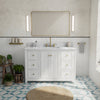 Vanuria 48 in. Vanity