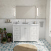 Vanuria 48 in. Vanity